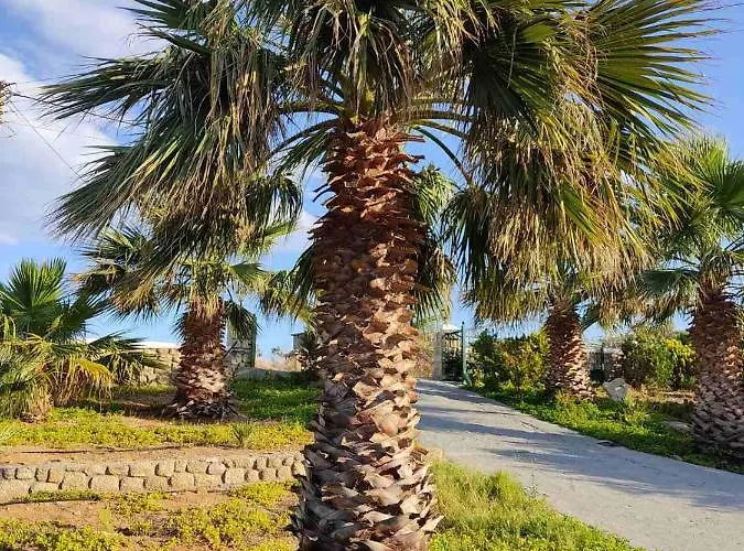 Hébergement de vacances House With Unique View